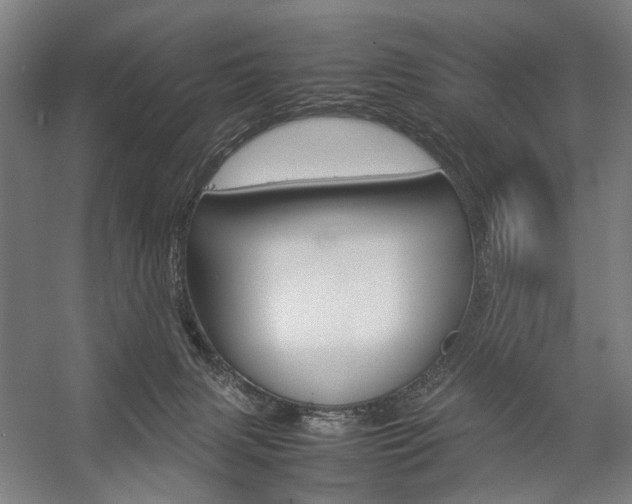 X0000057040079200509090827