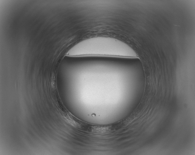 X0000057040081200509090827