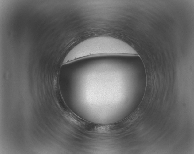 X0000057040084200509090827