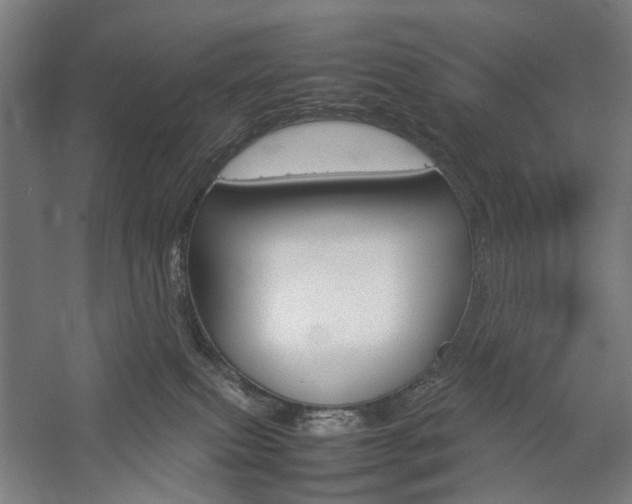 X0000057040087200509090827