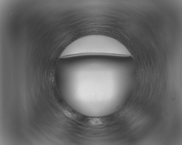 X0000057040091200509090827