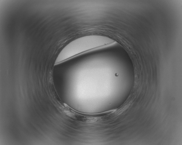 X0000057040096200509090827