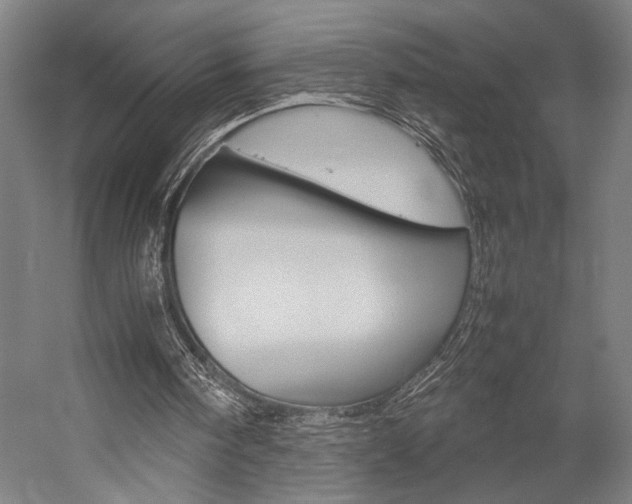 X0000057040098200509090827