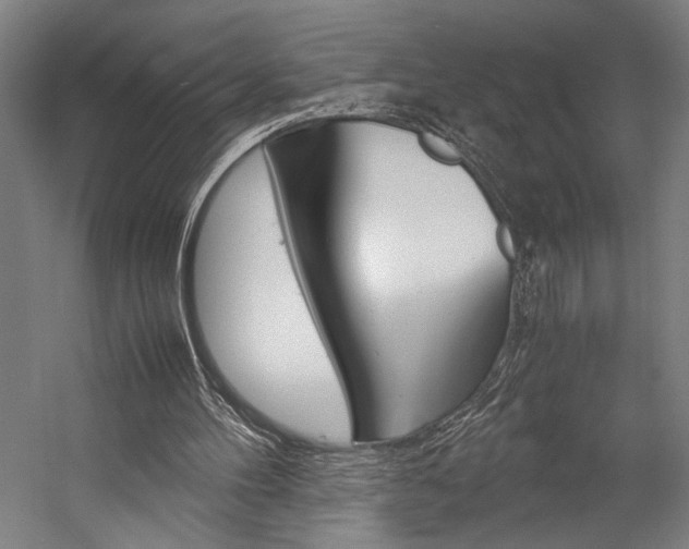 X0000057040100200509090827