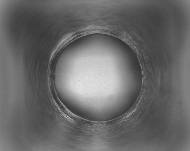 X0000057040101200509090827