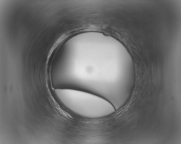 X0000057040102200509090827
