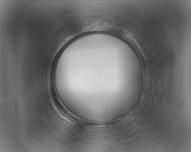X0000057040108200509090826