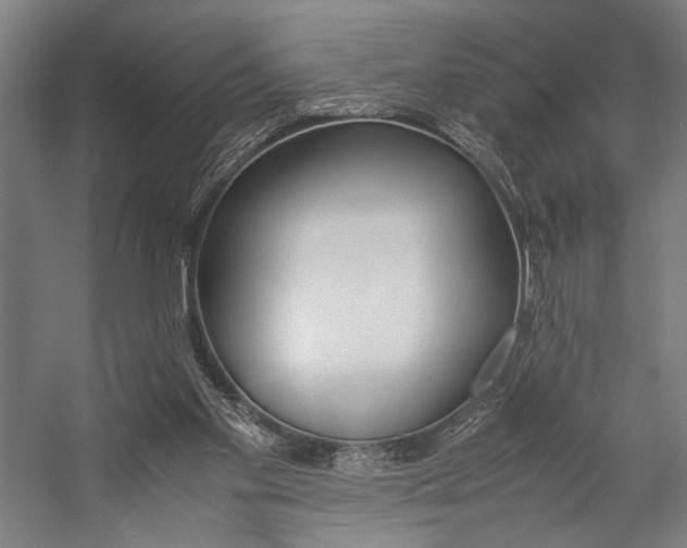 X0000057040109200509090826