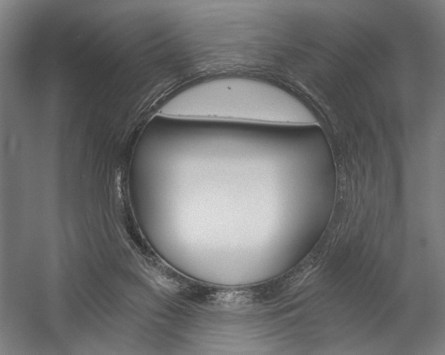 X0000057040117200509090826