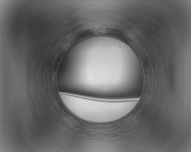 X0000057040125200509090826