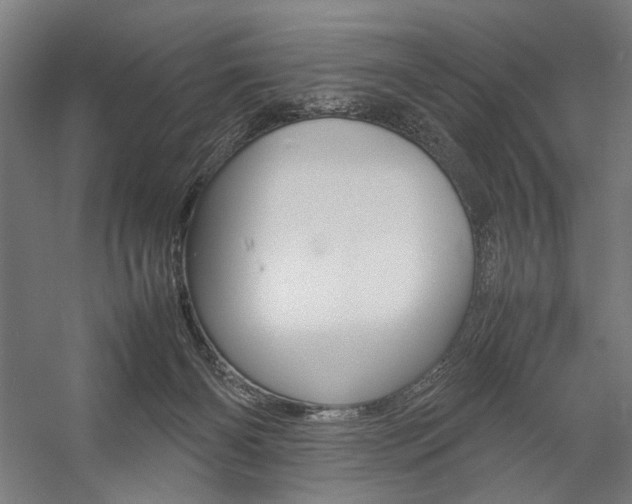 X0000057040126200509090826