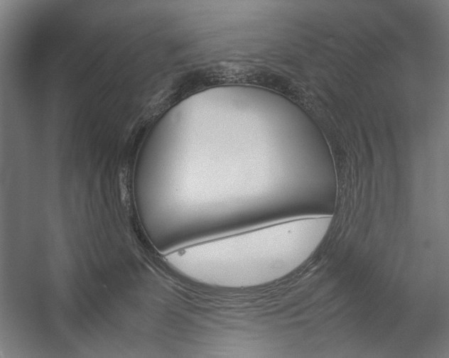 X0000057040131200509090826