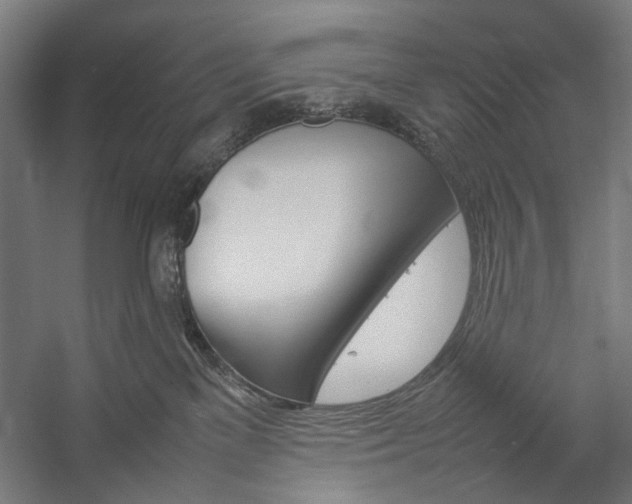 X0000057040137200509090826