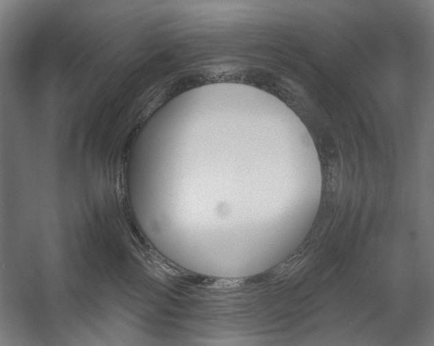 X0000057040138200509090826
