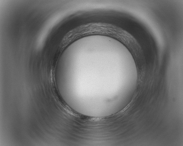 X0000057040142200509090826