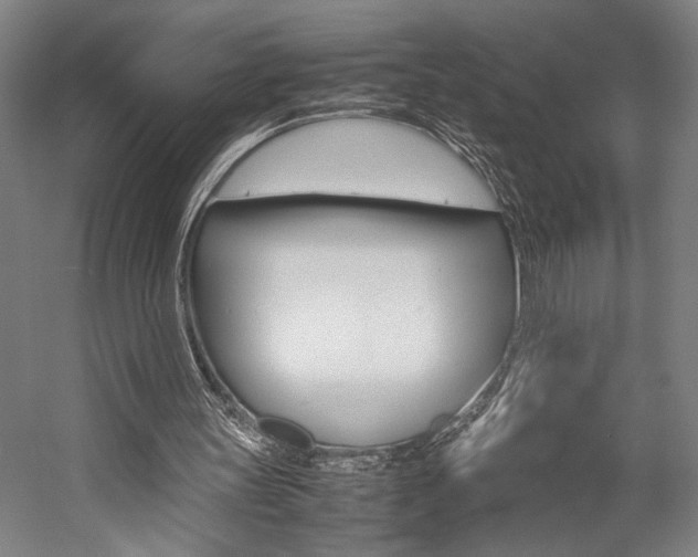 X0000057040147200509090825