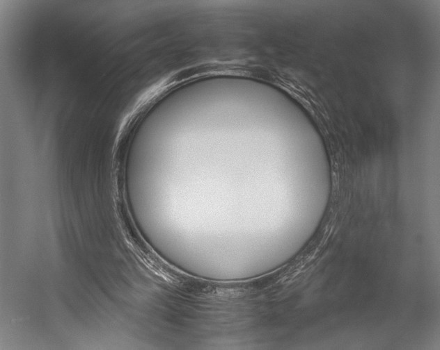 X0000057040149200509090825
