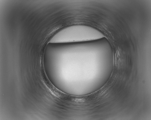 X0000057040157200509090825