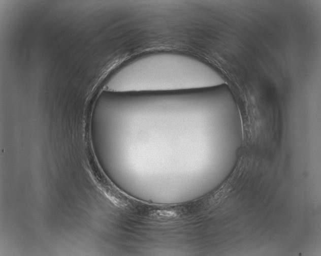 X0000057040159200509090825