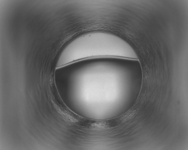 X0000057040164200509090825