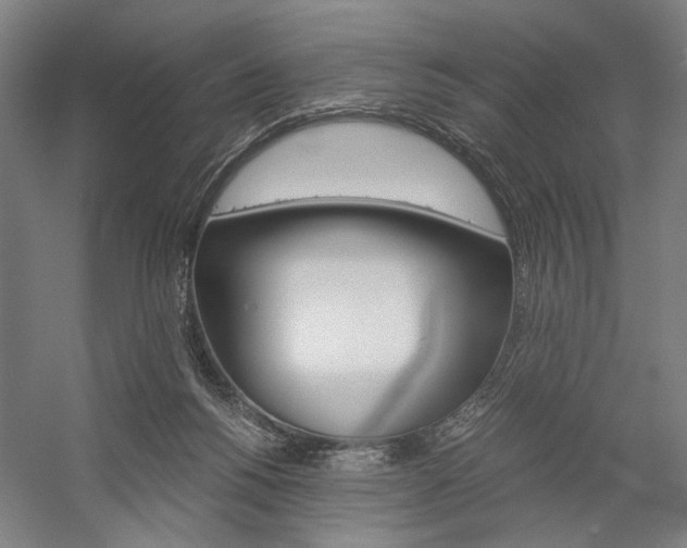 X0000057040168200509090825