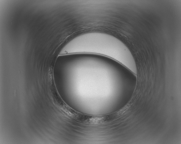 X0000057040172200509090826