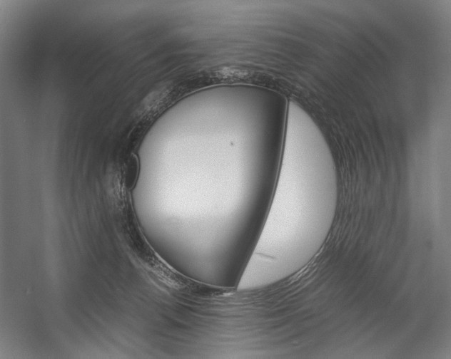 X0000057040176200509090826