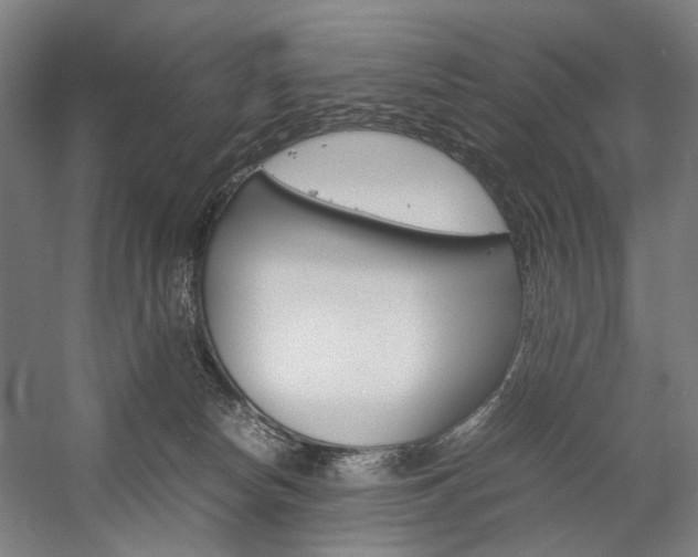 X0000057040178200509090826