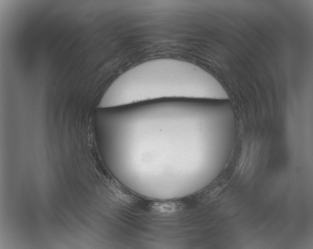 X0000057040181200509090826