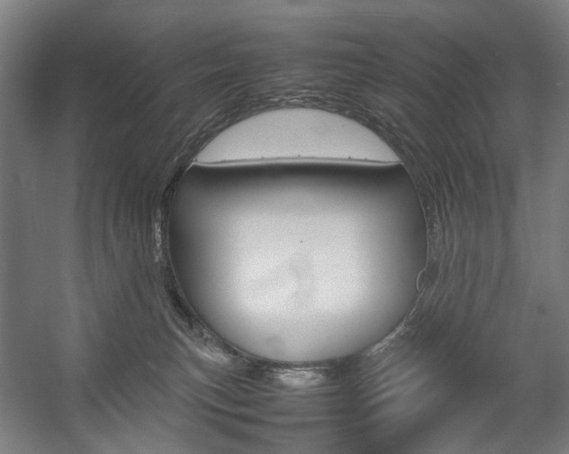 X0000057040183200509090826
