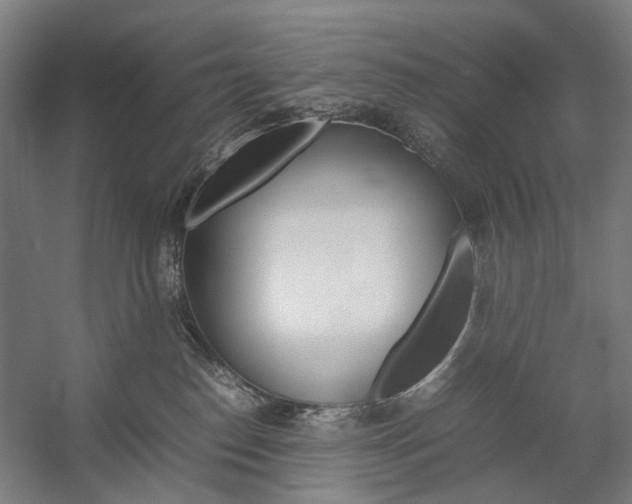 X0000057040186200509090826