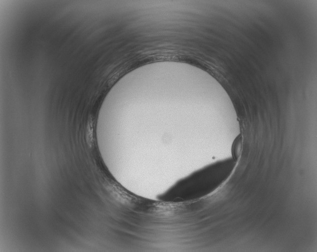 X0000057040190200509090826