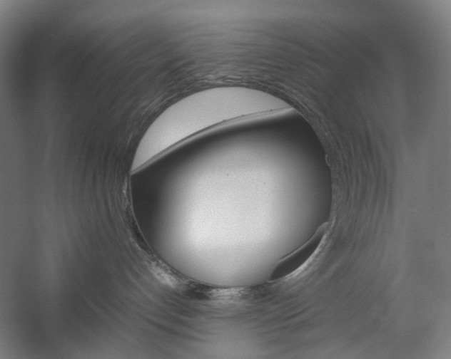X0000057040192200509090826