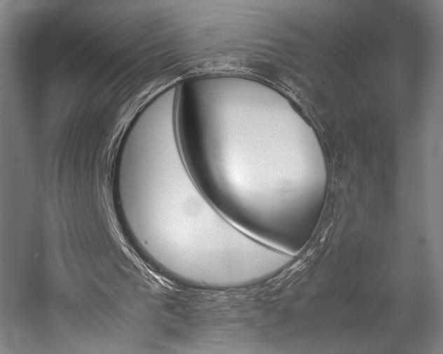 X0000057040193200509090825