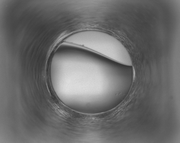 X0000057040195200509090825