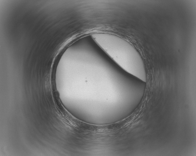 X0000057040196200509090825