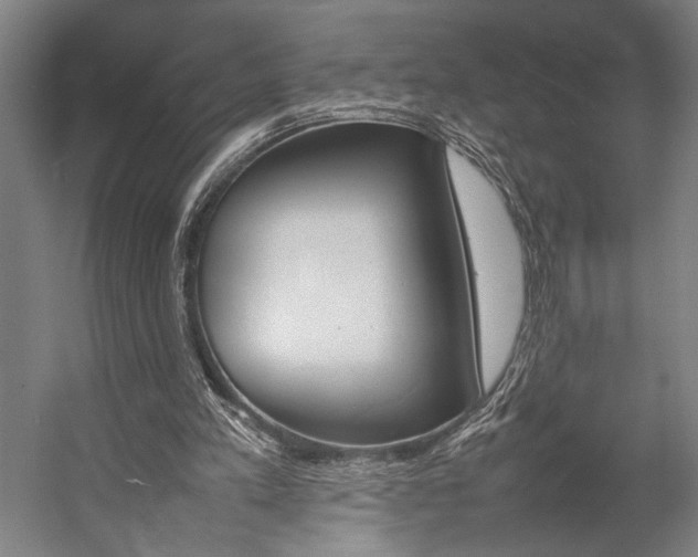 X0000057040197200509090825