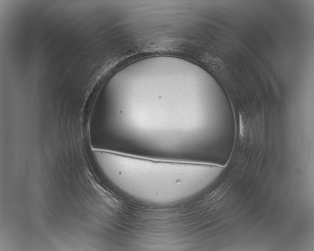 X0000057040204200509090825