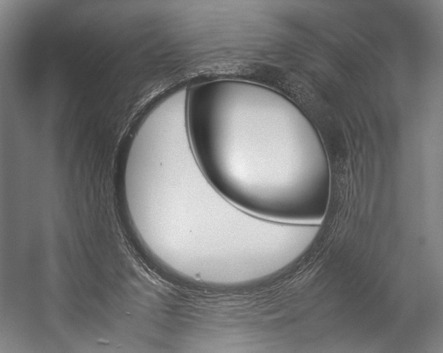 X0000057040207200509090825