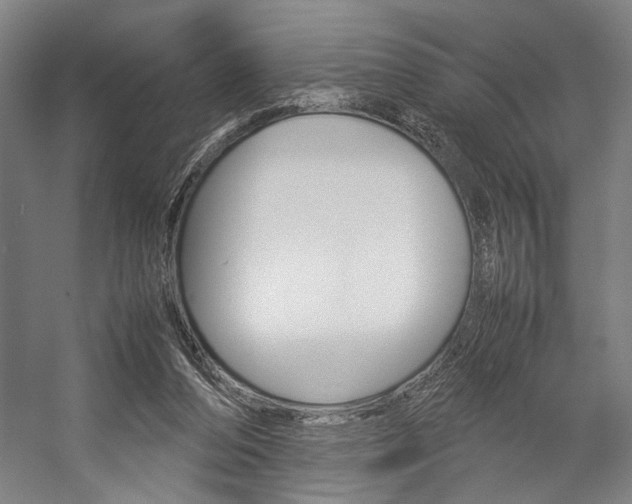 X0000057040208200509090825
