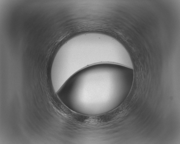 X0000057040211200509090825