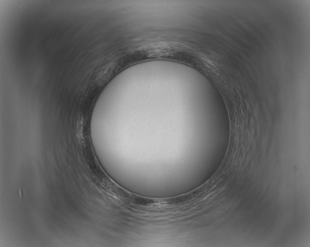 X0000057040219200509090825