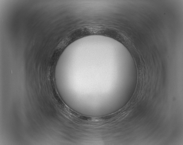 X0000057040221200509090825