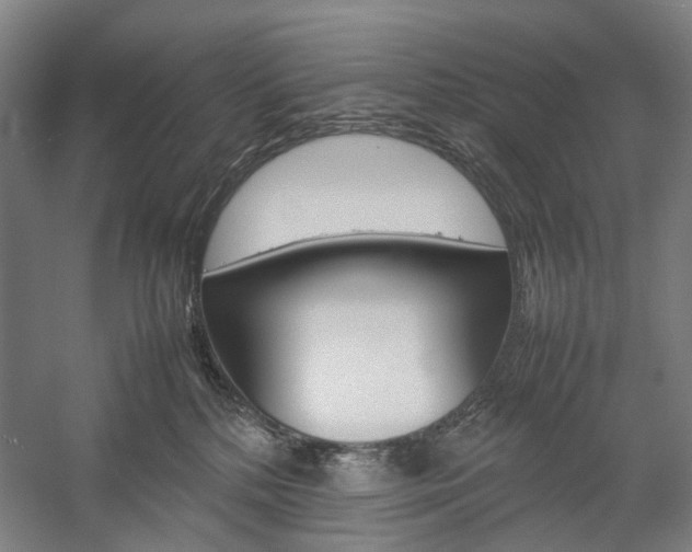 X0000057040232200509090824