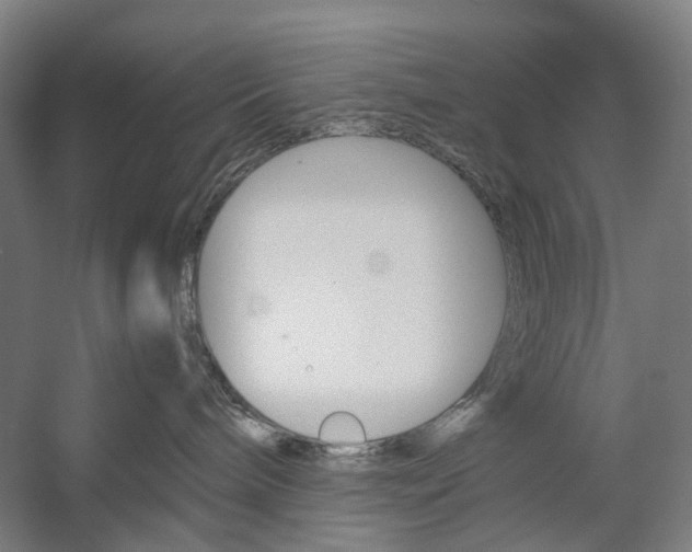 X0000057040240200509090824