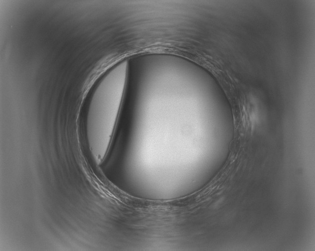 X0000057040242200509090823