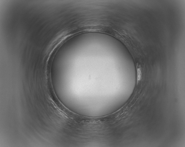 X0000057040243200509090823