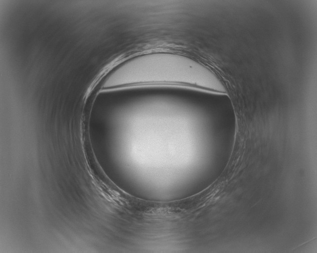 X0000057040244200509090823