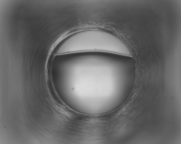 X0000057040246200509090824
