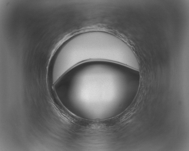 X0000057040248200509090824